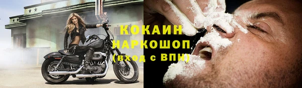 ПСИЛОЦИБИНОВЫЕ ГРИБЫ Заволжье