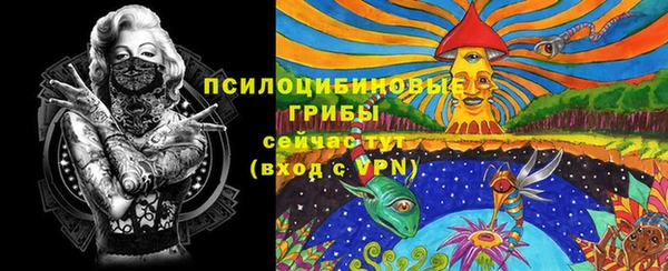 экстази Заволжск