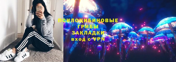 ПСИЛОЦИБИНОВЫЕ ГРИБЫ Заволжье