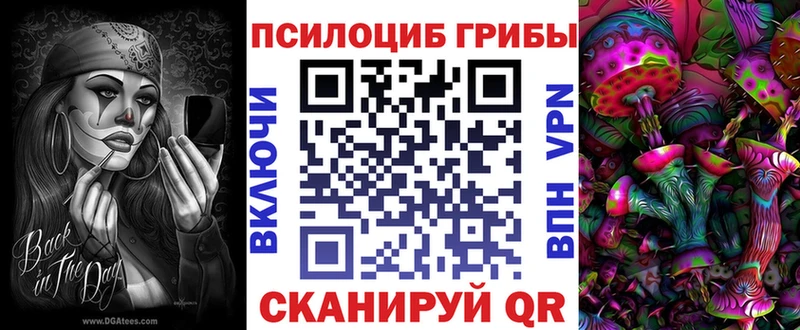 Псилоцибиновые грибы мицелий  Купить где  Темников 